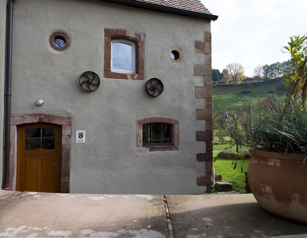 Landgrafen-Muehle Otel Wallhalben Dış mekan fotoğraf