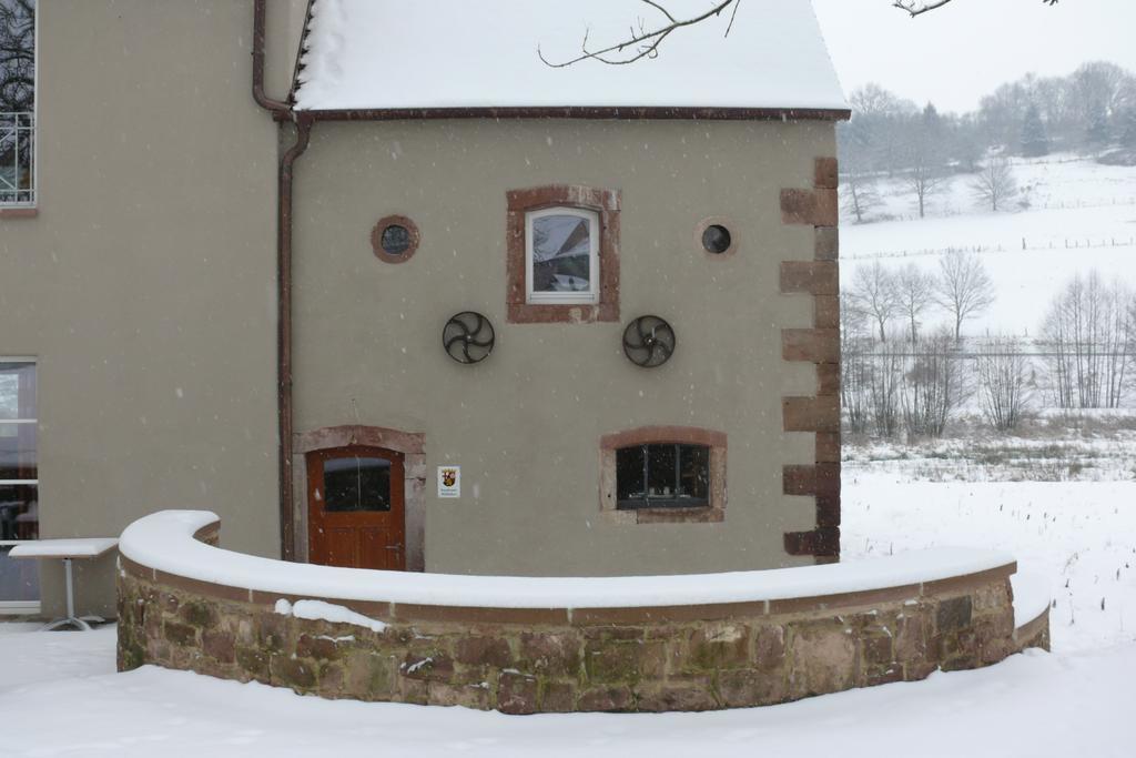 Landgrafen-Muehle Otel Wallhalben Dış mekan fotoğraf
